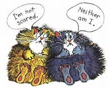 Scardy cat