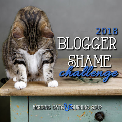 blogger shame challenge.jpg