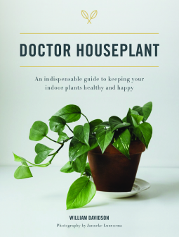 Dr house plant